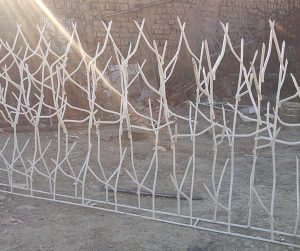 شاخ-گوزنی-2